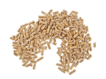 淺談APP應用(yòng)運營推廣當中的(de)四大(dà)訣竅