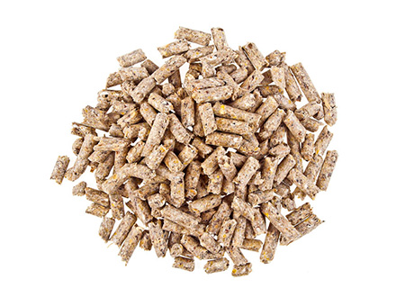 生(shēng)态基地(dì)标題二