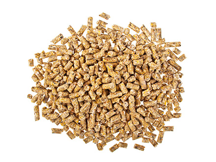 生(shēng)态基地(dì)标題三